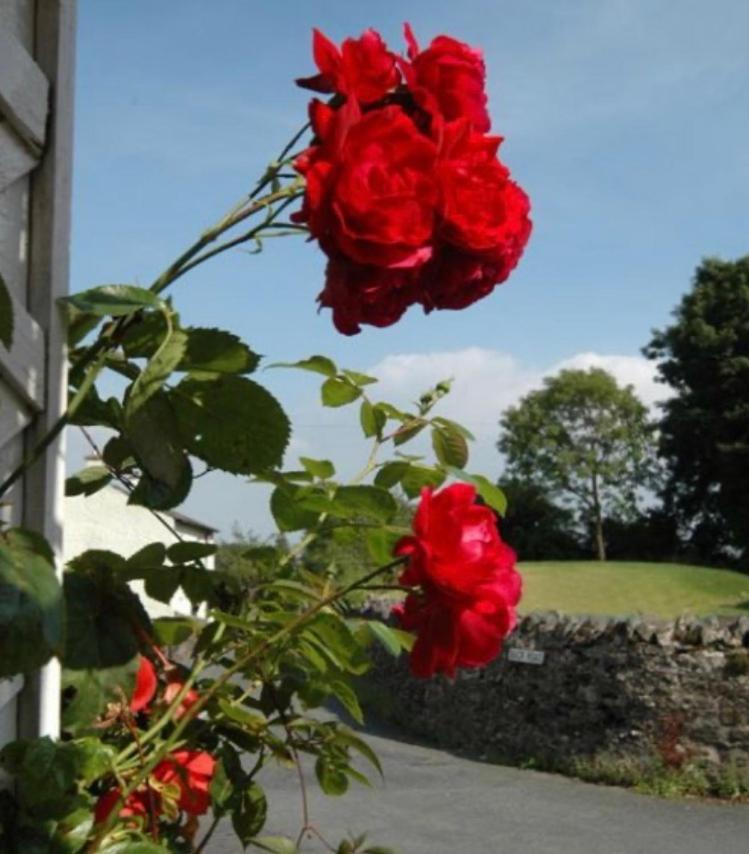 Inglenook Cottage Grange-over-Sands 外观 照片